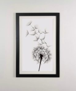 cuadro dandelion enmaracado en negro